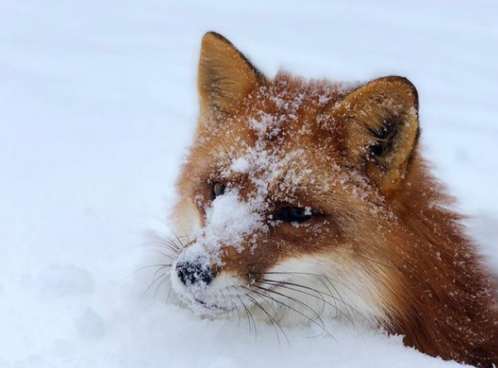 I Was Playing Hide & Seek