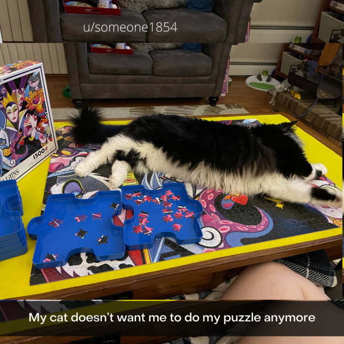 17. Who could do puzzles with such a tempting fluffy tummy?
