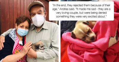 Grandmother Was Given The Most Beautiful Gift After Being Told She Was 'Too Old' For A Dog