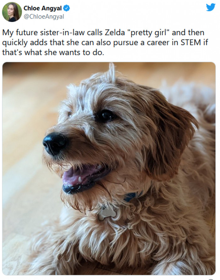 18. It is important for dogs to understand that it isn't just about their apperances and they can have dreams and aspirations as well
