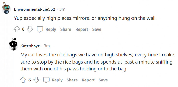The rice bag belongs to him now! The little paw stamp is the proof.