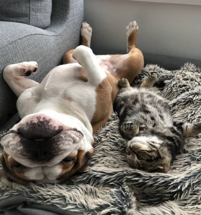 19. This is so cute!