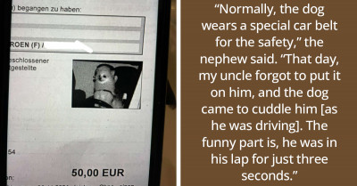 Guy Shocked After Getting A Speeding Ticket By Mail With A Picture Of His Dog On The Wheel