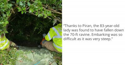 Cat’s Meows Help Rescuers Discover That Her 83-Year-Old Owner Fell Into A Ravine