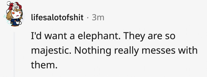 You do not hurt an elephant!