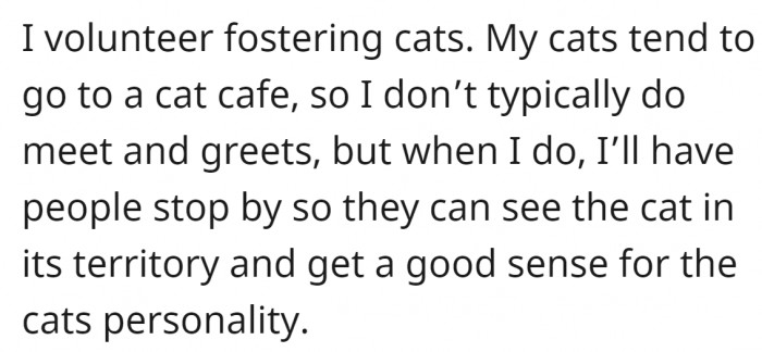 She is a volunteer fostering cats. She doesn't usually hold meetings, but this time she decided to do so.