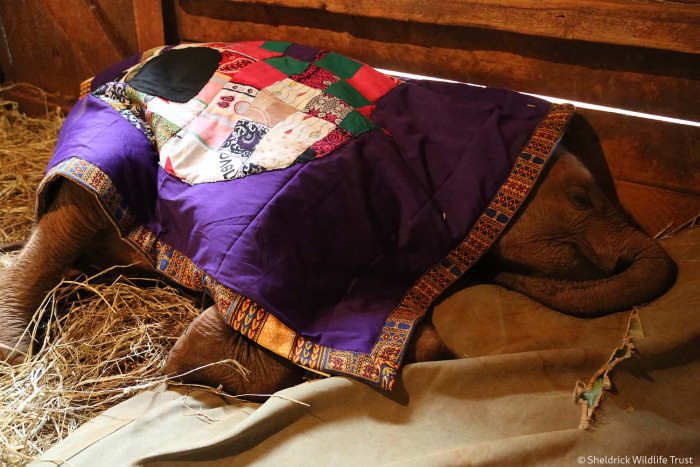 Look at how at peace this baby is!