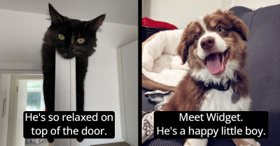 Pictures Of Irresistible Animals That Can Melt Anybody’s Heart Have Been Shared Online And Here Are 23 Of Them