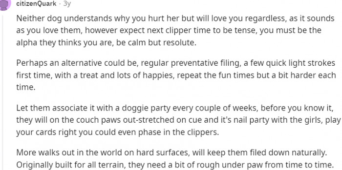 A pretty deep doggie advice