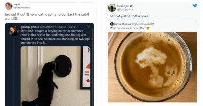20+ Funny Tweets About Cats And Dogs That Prove Twitter Humor Will Always Prevail