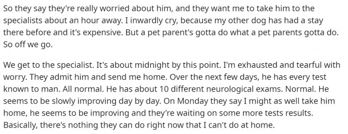 The vet suggested seeing a specialist since they couldn't figure out what's wrong with him.