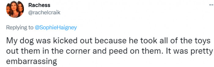 A dog who adopted a more indirect strategy to assert his strength