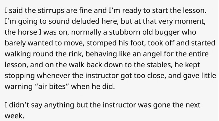 The horse was a savior in disguise