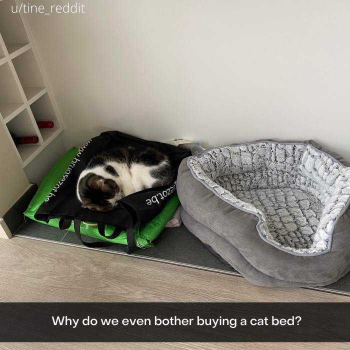 9. Choices were made.