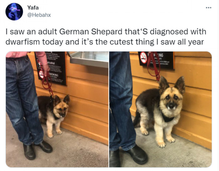 2. “The cutest thing I saw all year.”