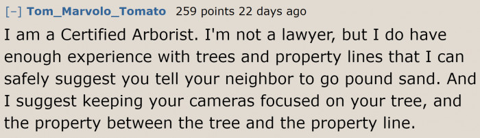 An arborist's take on the situation