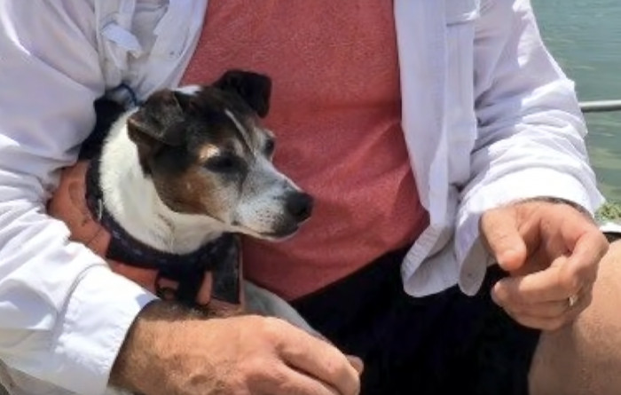 He Is at Least Comforted by the Fact That the Four Humans Who Found Him Would Not Let Any More Harm Come to Him