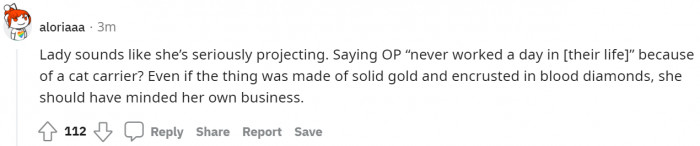 Be it big or small, made of gold or studded with diamonds, it's a pet carrier, and pet owners can go to any extent to safeguard their pets.