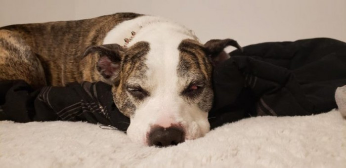 6. My mom gave me Mercy when I was sober for two days. Now I'm seven years sober