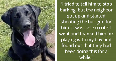 Woman Accidentally Discovers Her Dog Regularly Plays Fetch Over The Fence With the Neighbor and His Dog