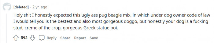 Buster is gorgeous, isn't he?