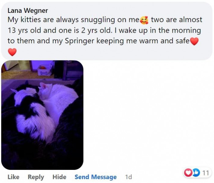 7. My cats are always cuddling me, which makes me feel warm and safe