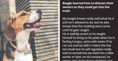 50 Pets That Are Smarter Than The Average Toddler