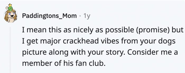 Pet owners chatting with dogs nearby, pets acting as social catalysts for connection.