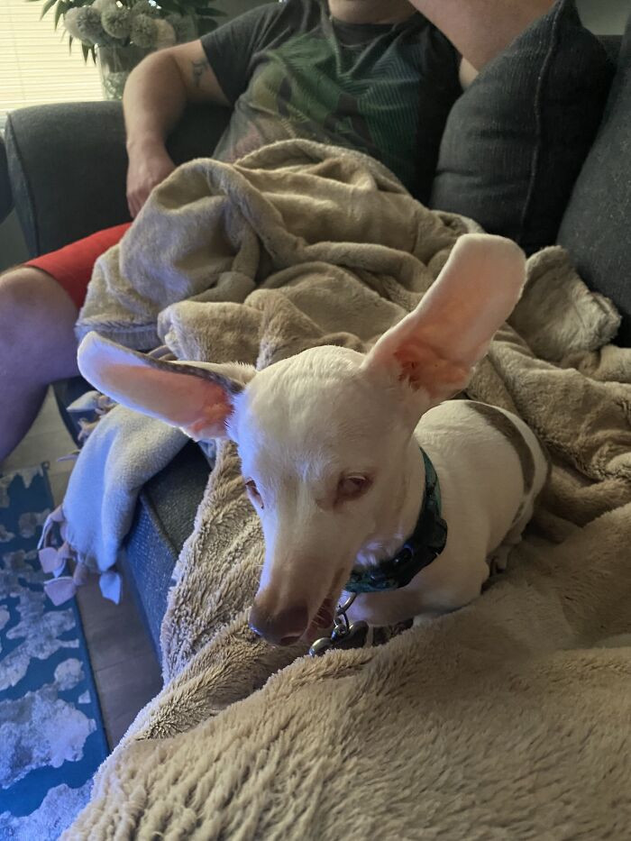 37. Here is 10-year-old Eyce, who really wants to taste my pizza even though he is blind and has no teeth