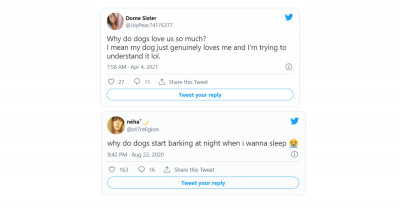 31 Questions That Dog Owners Have Posted About The Silly Habits Of Their Dogs