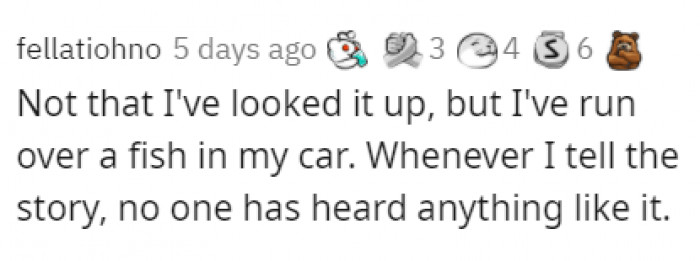 3. The chances of running over a fish on the road are low, but never zero