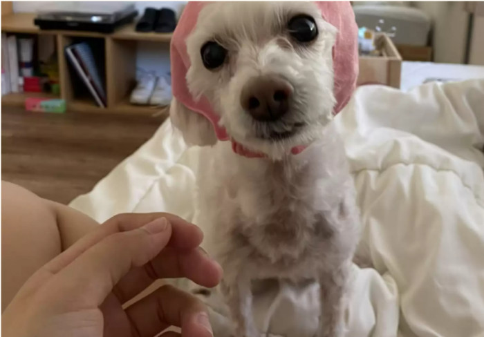 Ellie seems to be the most adorable being on planet Earth!