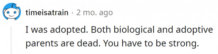 For This Redditor, the Answer Would Be 'Adopted.'