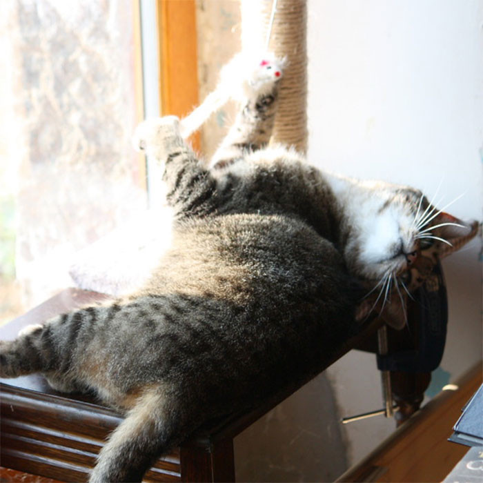 17. Doing Nothing at All, Just Being a Good Boy!