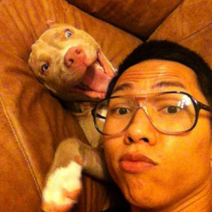 15. After 3 long months, a shelter called Dara Park to inform him that they had found his lost Pitbull. Now the two of them look like they've never been apart for a day.