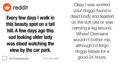 Ashamed Dog Owner Posts On Reddit About How Their Doggo "Ate Human Remains"
