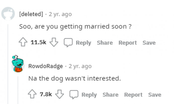 4. "The dog wasn't interested"