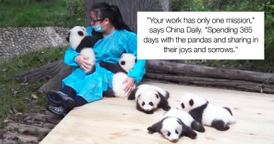 PSA: A Job Exists Where You Can Get Paid $32,000 To Cuddle Pandas All Day