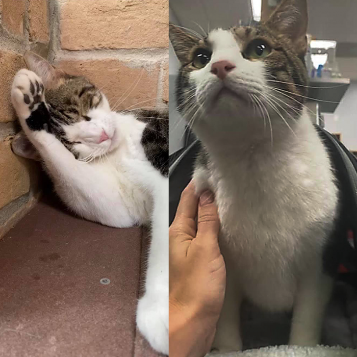 Of course, Julie flew to Florida straight away.