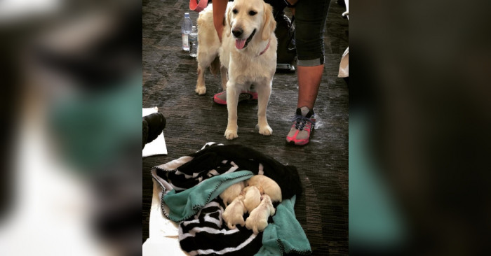 And the proud mother with her babies!