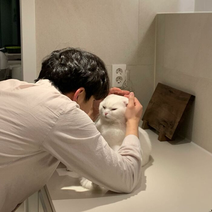 Muji was just chilling on the counter when his owner approached him to cuddle.