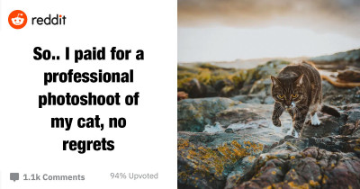 Doting Cat Mom Hires A Professional Photographer To Take Photos Of Her Cat, And She Is Thrilled With The Results