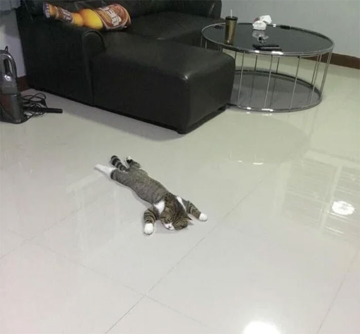 14. "Exhausted After A Long Day Of Being A Cat"