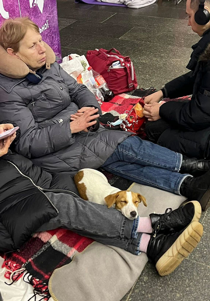 #20 Wherever my owner goes is where I go too