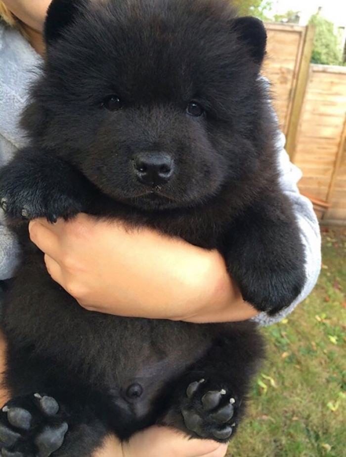 #8 Sweet floof baby!