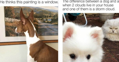 These 15+ Posts Are Proof That Animals Make Our Lives So Much Better