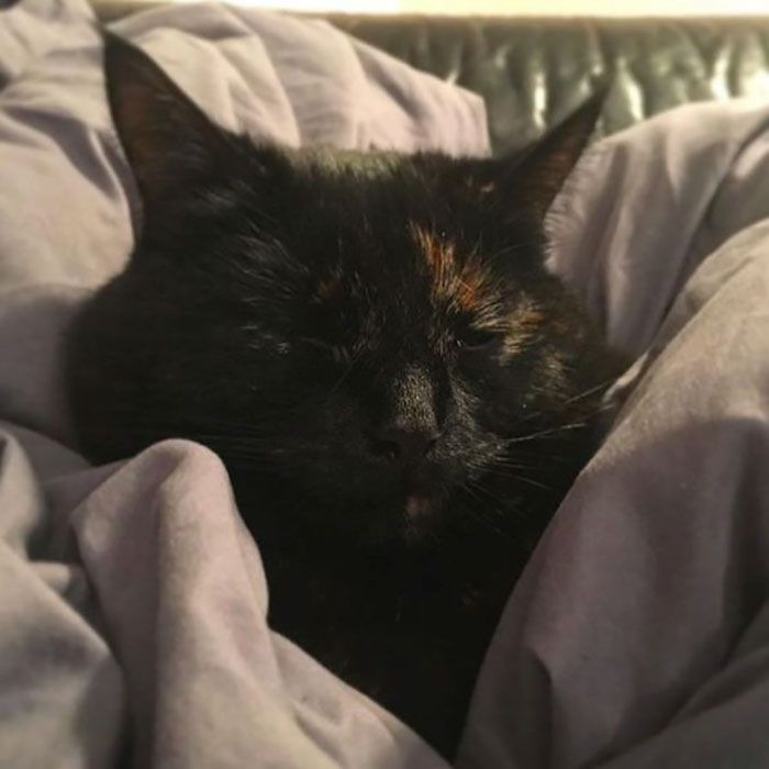 Snuggles are gifts, too.