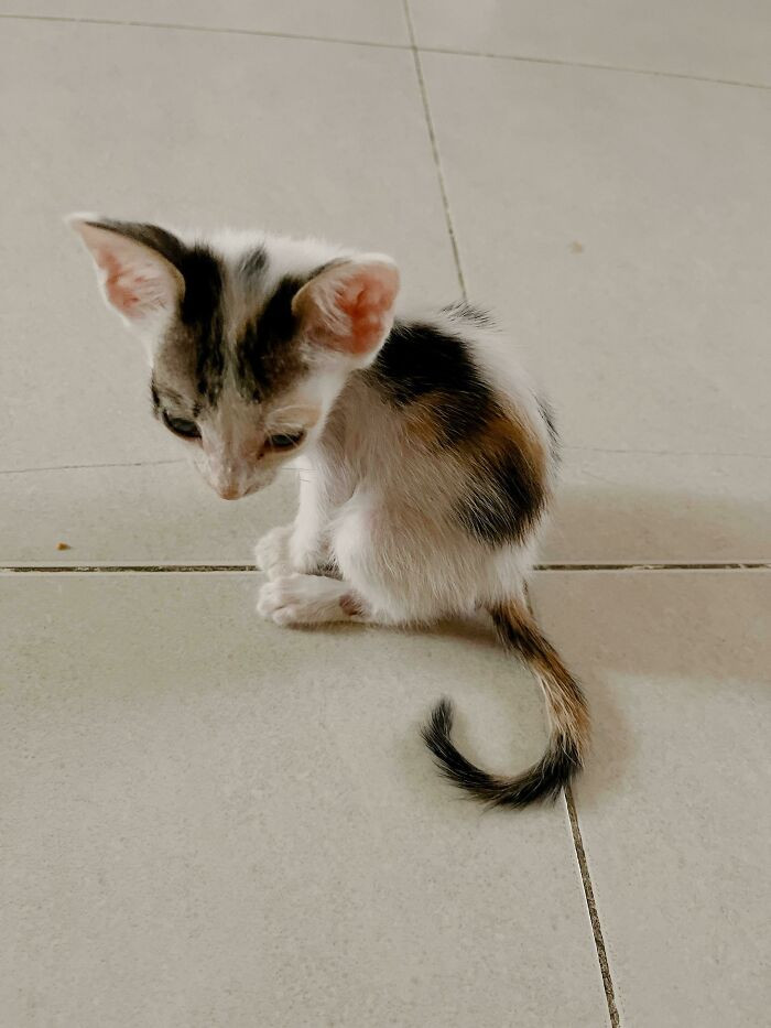 17. So tiny!