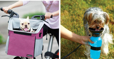 16 Perfect Gifts You NEED If Your Pet is Your Only Valentine This Year