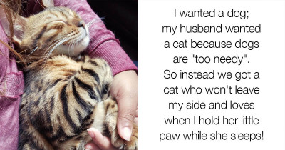 Animals Prove They Have The Purest Hearts To Ever Exist